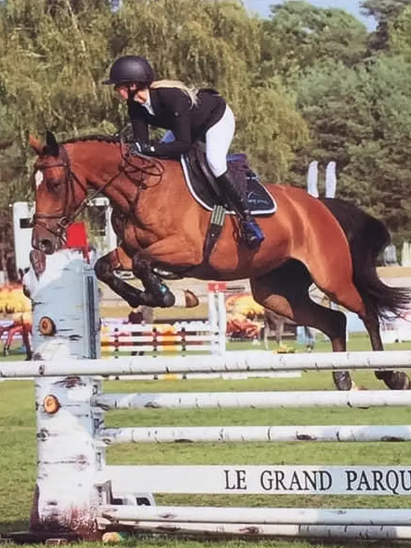 Coaching saut d'obstacle à cheval