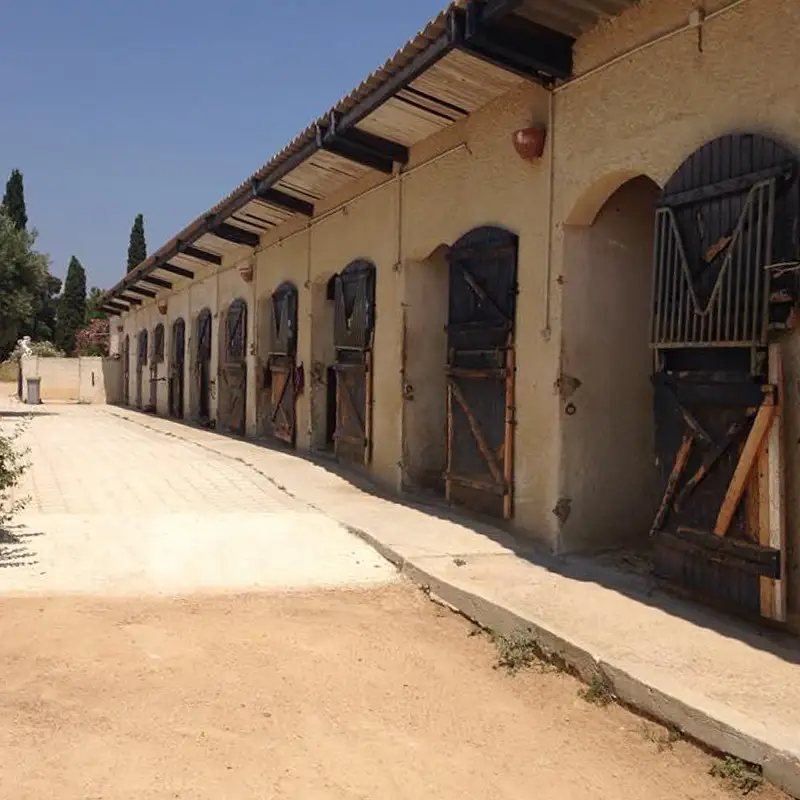 Pension pour chevaux à Roquebrune-sur-Argens