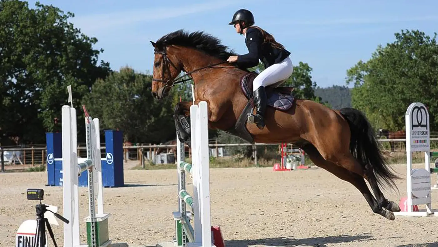 Enseignement / Coaching saut à Cheval à Roquebrune dans le Var