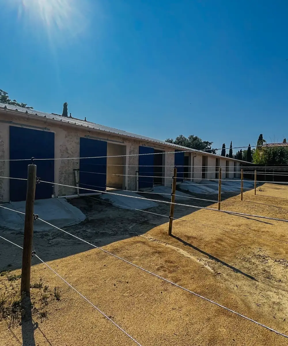 Paddock et Box pour chevaux